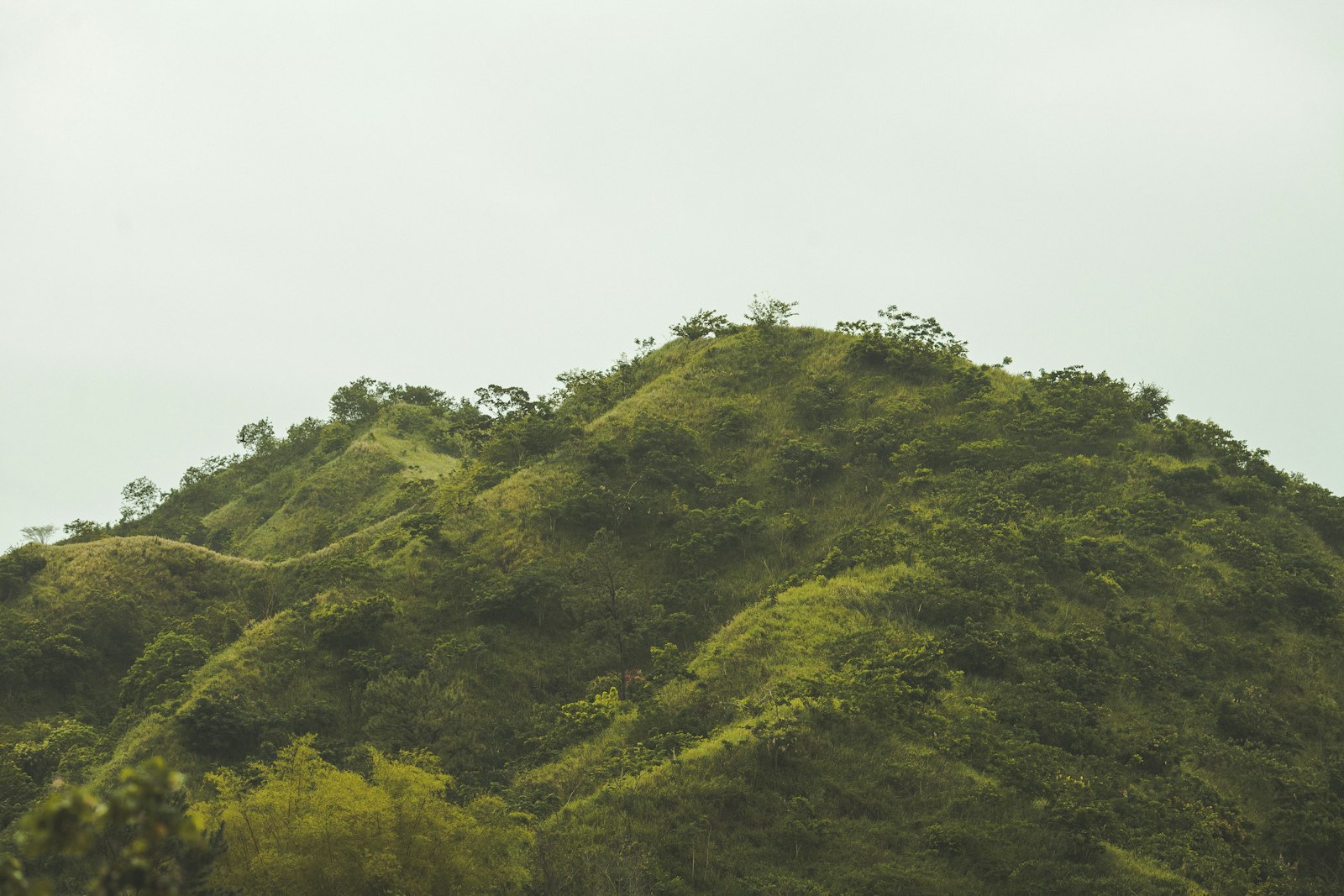 Mist-covered green hills near Kingston, Jamaica, under a pale overcast sky